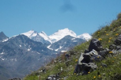 Ausflug in die Alpen