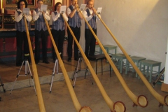 Alphorn Messe 2011